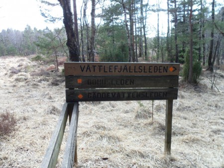 Jag ska följa den översta