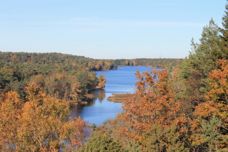 Utsikt över surtesjön